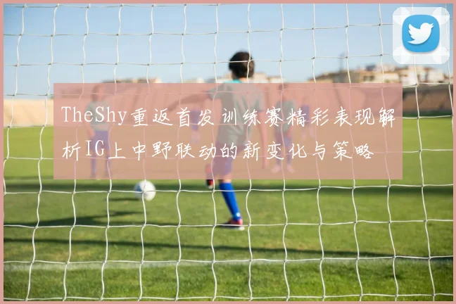 TheShy重返首发训练赛精彩表现解析IG上中野联动的新变化与策略