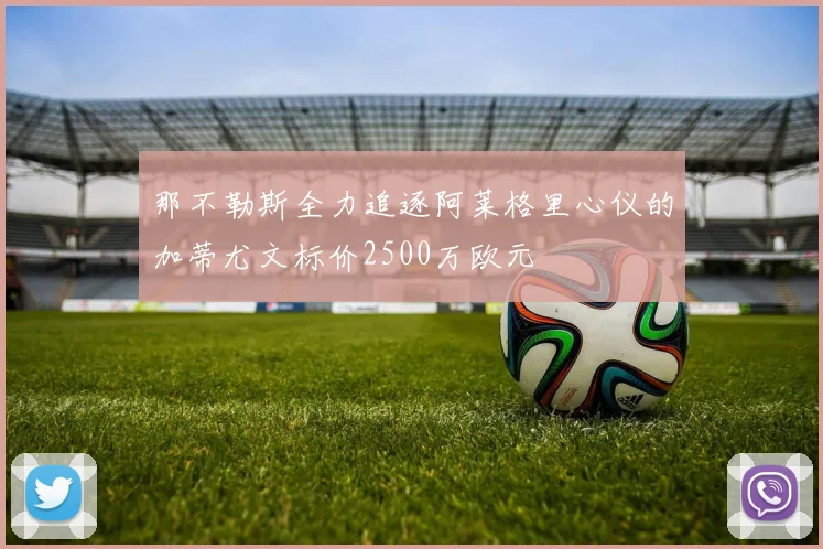 那不勒斯全力追逐阿莱格里心仪的加蒂尤文标价2500万欧元